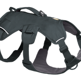 Ruffwear Web Master™ Harness