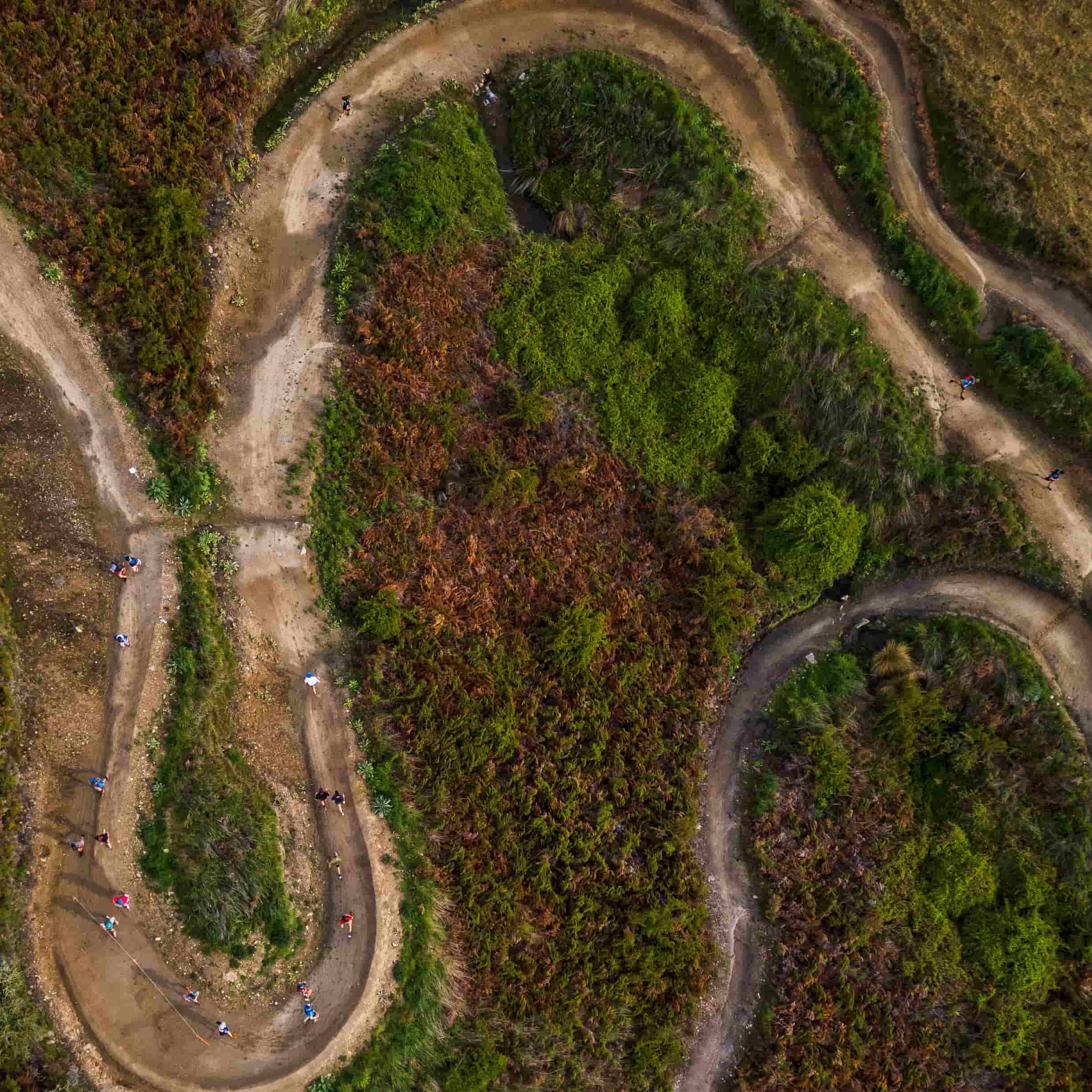 Aerial shot of a trail winding itself around green shrub.