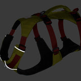 Ruffwear Flagline™ Dog Harness with Handle