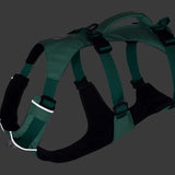 Ruffwear Flagline™ Dog Harness with Handle