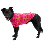 Ruffwear Climate Changer™ Dog Fleece