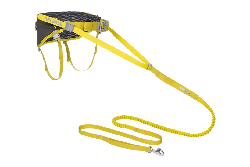 Ruffwear Omnijore Dog Joring System Kinisi Running